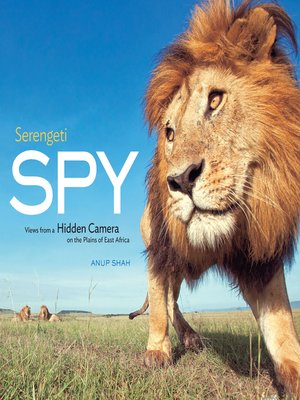 cover image of Serengeti Spy